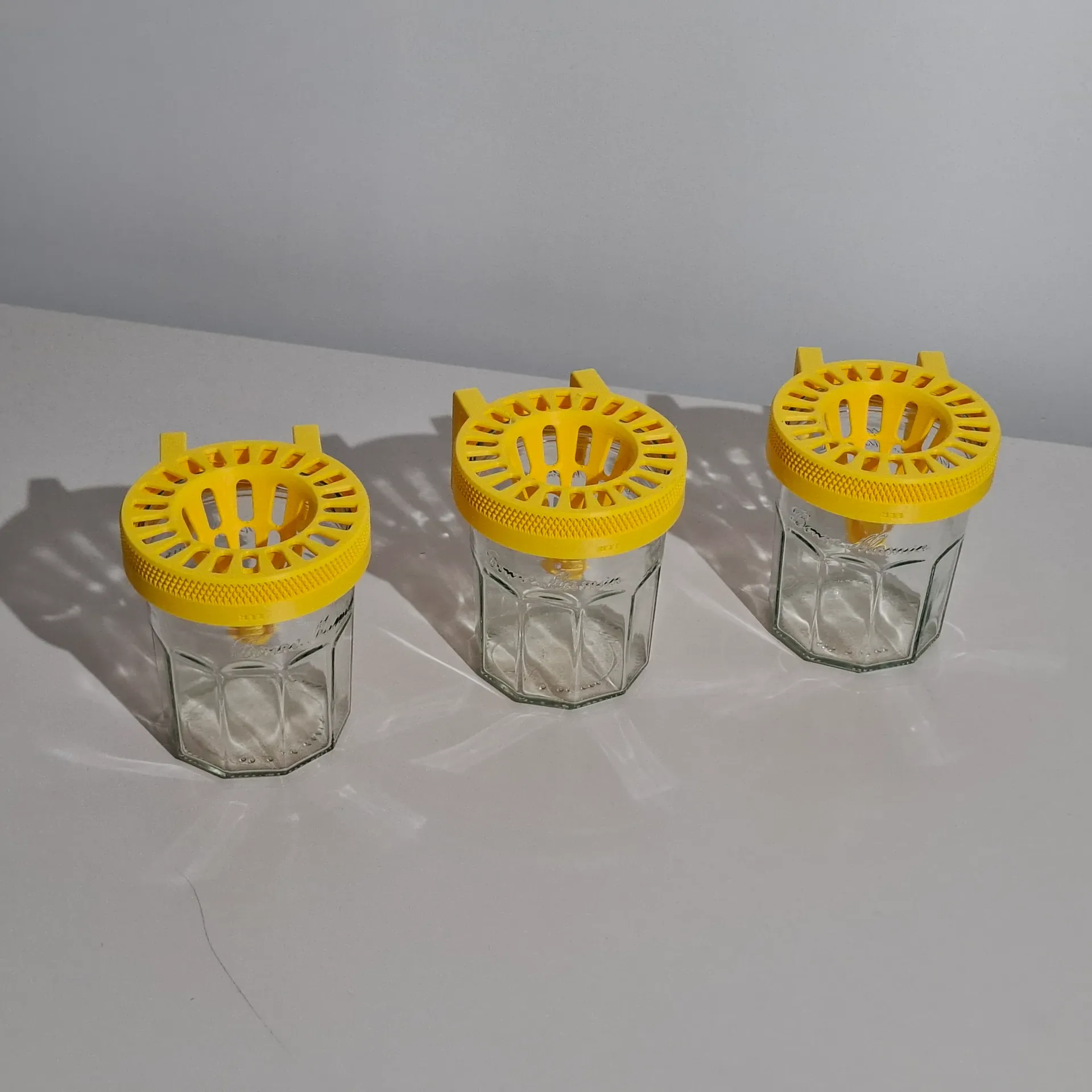 3 Pièges à Frelon Asiatique