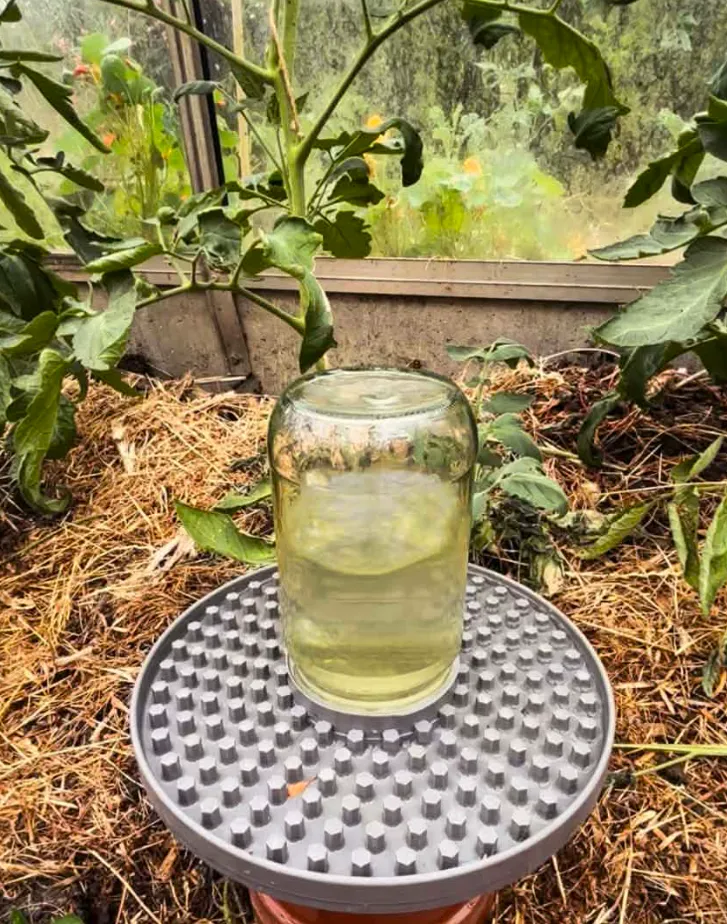 Abreuvoir pour abeilles
